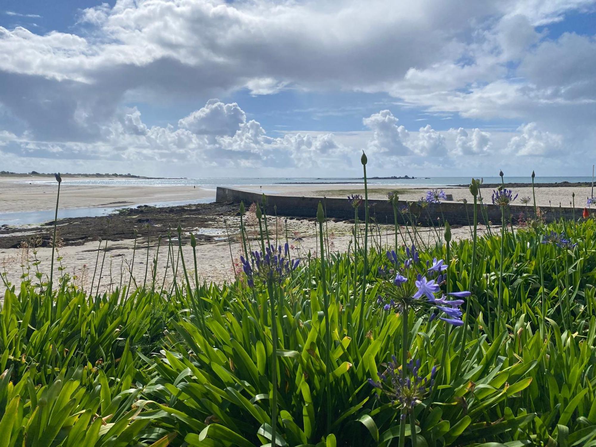 Villa Ster Et Mer Plobannalec-Lesconil ภายนอก รูปภาพ